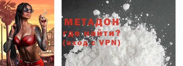 прущие грибы Надым