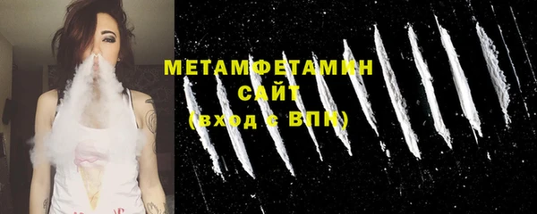 прущие грибы Надым