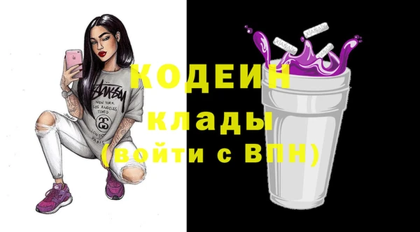 прущие грибы Надым
