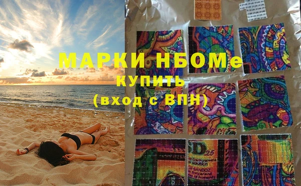 прущие грибы Надым