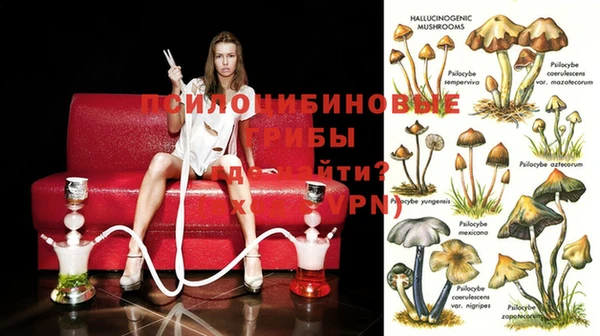 прущие грибы Надым