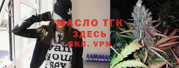 прущие грибы Надым