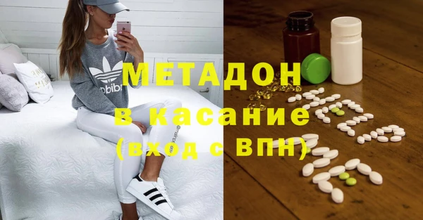 прущие грибы Надым