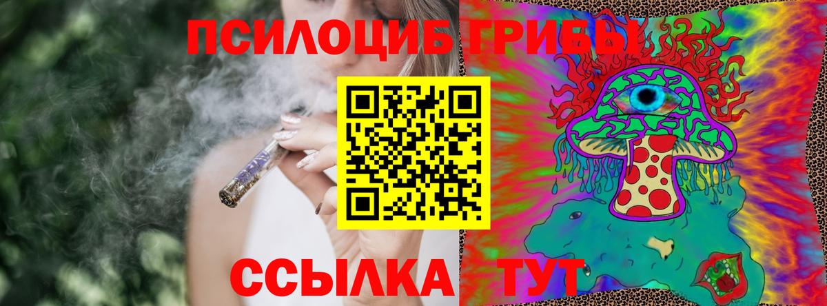 купить наркотики цена  Галлюциногенные грибы Psilocybe  Вход с VPN  Ессентуки 