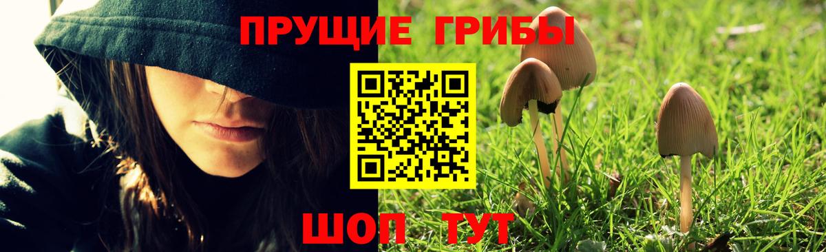 Галлюциногенные грибы мицелий Ессентуки
