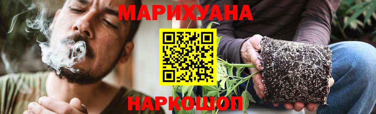 Бошки марихуана MAZAR Ессентуки
